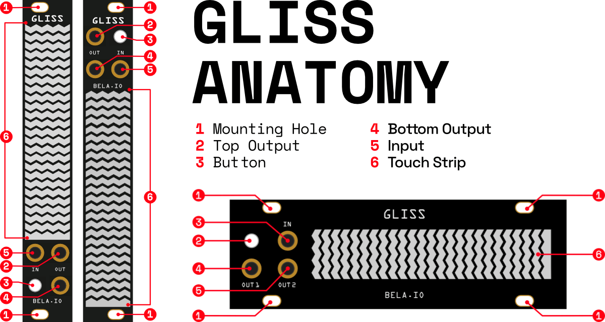 gliss_anatomy gliss_anatomy